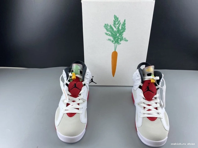 Rep Air CT8529-062 Hare 6 Jordan 0524